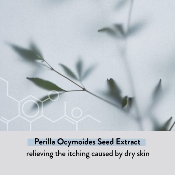 ILLIYOON Ceramide Ato Lotion 528ml(17.85oz) | Daily Moisturizing Lotion for All Skin Types | Deep Moisturizing and Soothing Effect | Korean Skin Care