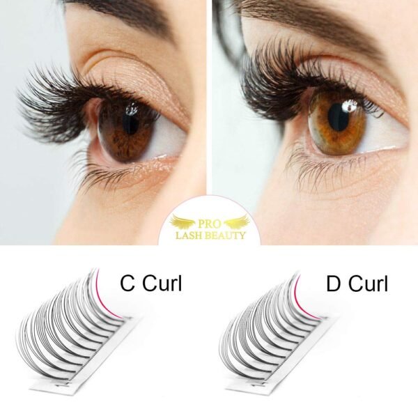 61HJSCfsXL._SL1000_.jpg Premade Fans Eyelash Extensions 5D 3D 7D 8D 10D Short Stem Premade Volume Eyelash Extensions 3D 5D 7D Volume Lash Extensions .07 .10 Pre made Lash Fans C D Curl 9-15 MIX(5D-D-0.10,9-15mm)