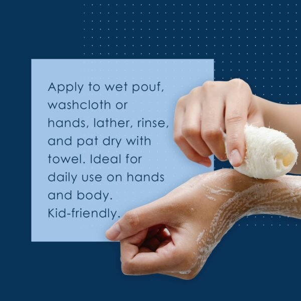 614QQwhmNQL._SL1500_.jpg Vanicream Gentle Body Wash, 12 Fl Oz, Formulated without Common Irritants for Sensitive Skin, Gentle Cleanse and Moisture, Removes Dirt & Oils, Non-Drying, pH-Balanced Shower Gel