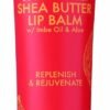 618mNY1QH7L._AC_SL1500_.jpg Shea Moisture Fruit Fusion Coconut Water Butter Lip Balm Care for Unisex, 0.5 Ounce