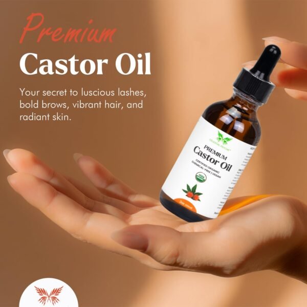 61K6iSTsSaL._SL1500_.jpg USDA Certified Organic Castor Oil (2 Oz with Essential Bundle - Eyebrow Kit) 100% Pure Natural, Chemical-Free, Hexane-Free, Promote Lash, Brow, and Hair Growth, Skin Hydration