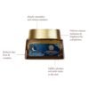 61LH8VLs8L._SL1500_.jpg Forest Essentials Transformative Soundarya Anti Ageing Night Cream with 24K Gold | For Dry & Dehydrated Skin | With Bakuchiol & Hyaluronic Acid | Moisturising and Hydrating