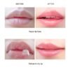 61MMvt1ICoL._SL1300_.jpg Honey Lip Mask, Ksndurn 1 PC Lip Scrubs Exfoliator & Moisturizer - Bee Balm Lip Balm Honey Pot/Hydrating Prevention Dry,Sleeping Lip Mask Lip Scrubs for Dry Lips