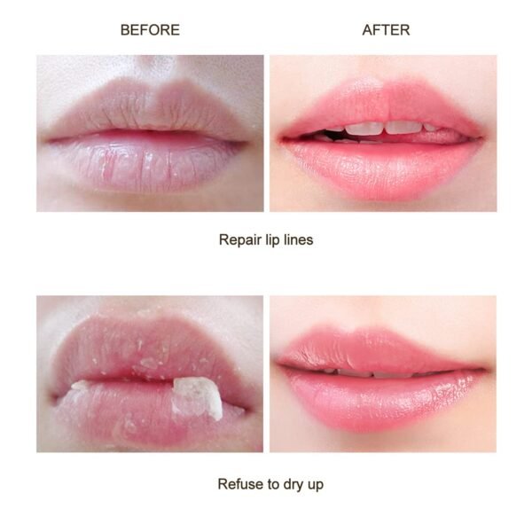 61MMvt1ICoL._SL1300_.jpg Honey Lip Mask, Ksndurn 1 PC Lip Scrubs Exfoliator & Moisturizer - Bee Balm Lip Balm Honey Pot/Hydrating Prevention Dry,Sleeping Lip Mask Lip Scrubs for Dry Lips