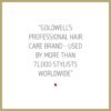 Goldwell Dualsenses Rich Repair Restoring 6 Effects Serum 100mL