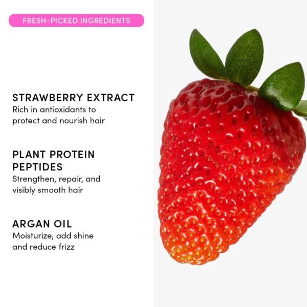 Evereden Kids Detangler Spray: 4-in-1 Leave-In Hair Spray | Detangle, Moisturize, Strengthen, & Protect | Easily Tackle Even the Toughest Knots | Clean & Vegan All types of Hair Product for Kids