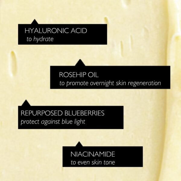 61Yzv5LiGuL._SL1080_.jpg UPCIRCLE Night Cream with Hyaluronic Acid + Niacinamide 1.85oz - Nourishing and Unscented for Sensitive Skin with Anti-Ageing Properties - Vegan + Cruelty-Free