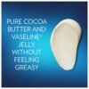 61bOxXmaDGL._SL1500_.jpg Vaseline Cocoa Radiant Spray 2-Pack for Dry Skin + Vaseline Lip Therapy Cocoa Butter Lip Balm (3 Piece Set)