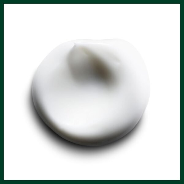 Aveda Smooth Infusion Style-Prep Smoother | Leave-In Anti-Frizz Serum | 72-Hour Frizz Defense & Frizz Control | Heat Protectant | 98% Naturally Derived