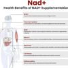 NAD+ Liquid Supplement, NAD+1000 mg Liquid Packets for Women & Men.Nicotinamide Riboside, Resveratrol, PQQ, Quercetin Supplement Alternative for Anti-Aging, Energy-30 Packets