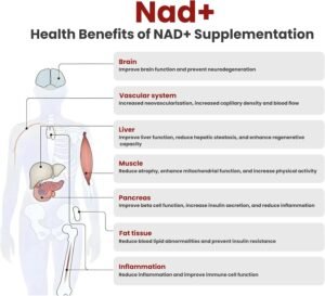 NAD+ Liquid Supplement, NAD+1000 mg Liquid Packets for Women & Men.Nicotinamide Riboside, Resveratrol, PQQ, Quercetin Supplement Alternative for Anti-Aging, Energy-30 Packets