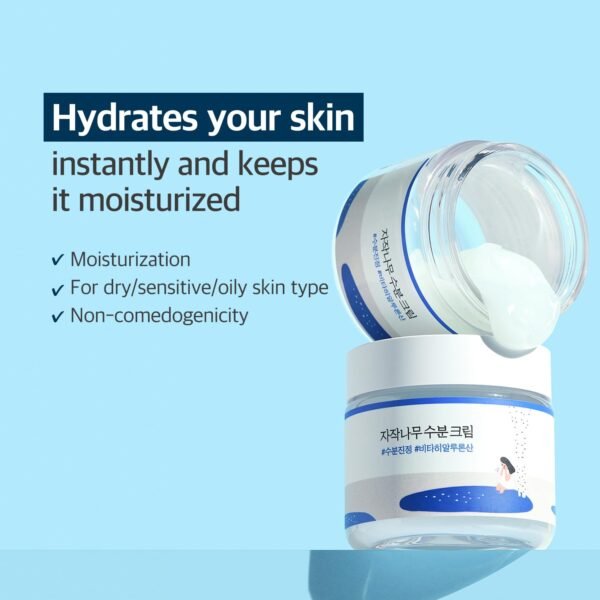 61gR3RGlQEL._SL1500_.jpg ROUND LAB Birch Juice Moisturizing Cream 2.7 Fl Oz, 48-Hour Deep Hydrating Face Moisturizer with Birch Sap & Vita Hyaluronic Acid for Acne-Prone Skin, Reduces Sebum, Oil, Blackheads, Korean Skin Care