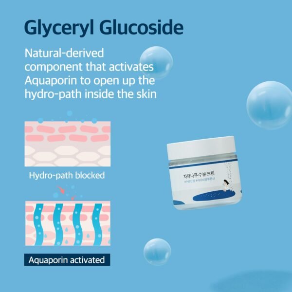 61jN-VErrEL._SL1500_.jpg ROUND LAB Birch Juice Moisturizing Cream 2.7 Fl Oz, 48-Hour Deep Hydrating Face Moisturizer with Birch Sap & Vita Hyaluronic Acid for Acne-Prone Skin, Reduces Sebum, Oil, Blackheads, Korean Skin Care