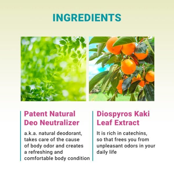 Derma B | Fresh Moisture Body Lotion | Lotion for Extremely Dry Skin | Intensive Skin Moisturizing | Fast-Absorbing & Long-Lasting Moisturizer | Natural Deodorant Cream | Body Care | 3.5 fl oz (400ml)