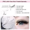 61kXyumFObL._SL1000_.jpg Premade Fans Eyelash Extensions 5D 3D 7D 8D 10D Short Stem Premade Volume Eyelash Extensions 3D 5D 7D Volume Lash Extensions .07 .10 Pre made Lash Fans C D Curl 9-15 MIX(5D-D-0.10,9-15mm)