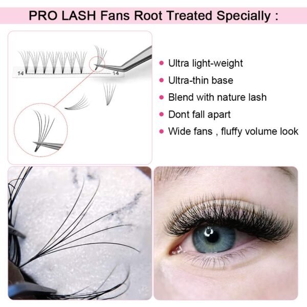 61kXyumFObL._SL1000_.jpg Premade Fans Eyelash Extensions 5D 3D 7D 8D 10D Short Stem Premade Volume Eyelash Extensions 3D 5D 7D Volume Lash Extensions .07 .10 Pre made Lash Fans C D Curl 9-15 MIX(5D-D-0.10,9-15mm)