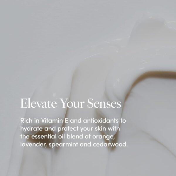 LATHER - Bamboo Crème Body Moisturizer, 8 fl oz - Daily Hydrating Body Lotion - Essential Oils & Vitamins - Shea Butter, Avocado Oil, Aloe, & Chamomile - Vegan & Cruelty Free - Beauty & Skin Care