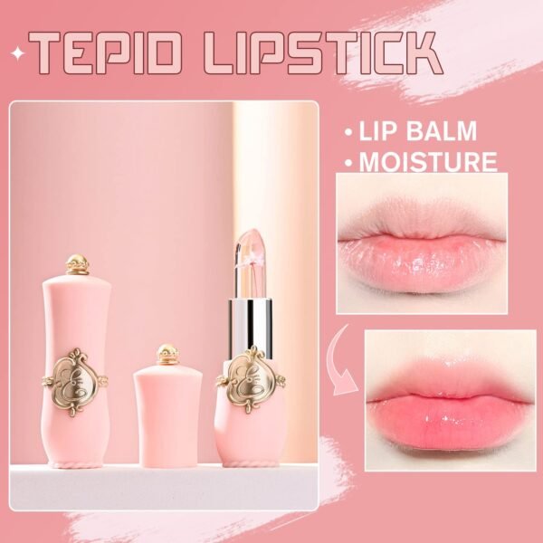 61nqYw06nmL._SL1500_.jpg 6 Pcs/Set Flower Jelly Lipstick Set Temperature Change Moisturizer Long Lasting Nutritious Balm Magic Color Change Lip Gloss