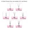 61oe2YbwbTL._SL1000_.jpg Premade Fans Eyelash Extensions 5D 3D 7D 8D 10D Short Stem Premade Volume Eyelash Extensions 3D 5D 7D Volume Lash Extensions .07 .10 Pre made Lash Fans C D Curl 9-15 MIX(5D-D-0.10,9-15mm)
