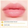 61q8e6rdWkL._SL1500_.jpg 8 PCS Bee Lip Balm Lip Mask Honey Pot, Propolis Lip Mask Overnight Moisturizing Lip Balm with Stick, Sleeping Lip Mask Hydrating Prevention Dry & Cracked,Reduce Lip Lines Lip Scrubs Exfoliato Lip Care
