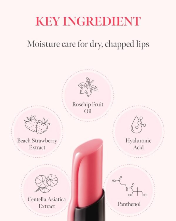 61t80iGlaTL._SL1350_.jpg Volumizing Lip Fondue 07 Humble 2g, 3-in-1 Melting Balm for Hydrating Lip Care, Plumping Volume and High-Gloss Water Glow, Infused with Rosehip Oil for Longlasting Moisture, Korean Makeup
