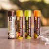 61tl-f0iFVL._AC_SL1080_.jpg Panama Jack Sunscreen Lip Balm - SPF 45, Flavor Pack, Broad Spectrum UVA-UVB Sunscreen Protection, Prevents & Soothes Dry, Chapped Lips (Dreamsicle/Vanilla/Tropical/Mango)