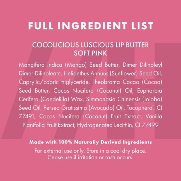 100% Natural Tinted Lip Butter Sleeping Lip Mask Clean Petroleum Free Lip Moisturizer and Conditioner for Dry Lips Intensive Lip Balm and Lip Therapy Skin Care with Mango butter (Light Pink)