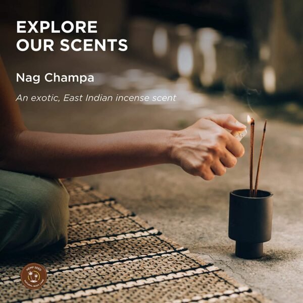 Hemp Seed Hand & Body Lotion - Soothe Dry Skin - Argan Oil, Hemp Seed Oil - Light, Non-Greasy Formula - Vegan & Cruelty Free