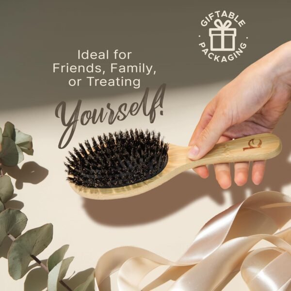 71-38sZbEXL._SL1500_.jpg Boar Bristle Hair Brush for Women and Men, Natural 100% Soft Boars Hairbrush for Fine and Thin Hair
