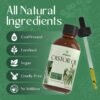 712f8CxNXSL._SL1500_.jpg ARVIDSSON 100% Pure Jamaican Black Castor Oil for Hair Growth, Eyelashes, Eyebrows - 4 Fl Oz, Cold Pressed Castor Oil, Hair Oil, Body Oil, Skin & Scalp Moisturizer