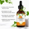 714CP5UJSkL._SL1500_.jpg Pumpkin Seed Oil for Hair Growth 60ML, Organic Pure Pumpkin Essential Oil for Hair, Eyebrow & Eyelash Growth, Skin Care, Scalp Massage