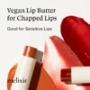 715ZbKXacuL._SL1500_.jpg Melixir Vegan Lip Butter #05 Dewy Rose(Tinted) (+14 more colors), Easter Basket Stuffers, Bee Free, Petrolatum Free, Deep Nourishing Plant-Based Vegan Chapstick, Lip Balm for Dry, Cracked and Chapped Lips, Moisturizing Lip Care Spring Gift