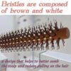 719LjmxlJ4L._SL1500_.jpg Small Round Brush, Wooden Handle White Bristles - 1.3inch Mini Round Hair Brush for Short Hair & Bangs, Non-Slip Grip, Blow Drying Styling Tool for All Hair Type, is Used for Men, Women