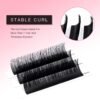 71AwC53r1nL._SL1500_.jpg TDANCE Premium C CC D DD J B L Curl 0.03-0.18mm Thickness Semi Permanent Individual Eyelash Extensions Silk Volume Lashes Extensions Professional Salon Use(D,0.05,13mm)