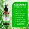 71BVCeiDUML._SL1500_.jpg Rosemary Oil for Hair Growth 2.02 Fl Oz with Scalp Massager, Pure Rosemary Essential Oil for Eyelashs, Eyebrows, Face, Skin Care, Body Massage, Nourishes The Scalp, Improve Blood Circulation
