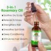 71CA3WFPDUL._SL1500_.jpg 3in1 Hair Growth Oil (Rosemary, Mint & Pumpkin Seed) - Natural Organic Cold-Pressed Hair Treatment for Hair, Skin, Eyelashes & Eyebrows Regrowth
