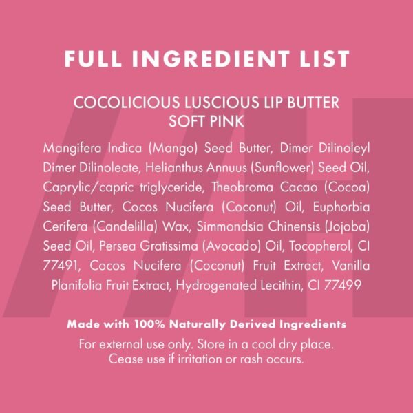 100% Natural Tinted Lip Butter Sleeping Lip Mask Clean Petroleum Free Lip Moisturizer and Conditioner for Dry Lips Intensive Lip Balm and Lip Therapy Skin Care with Mango butter (Light Pink)