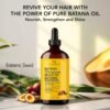 71DMw8teIjL._SL1500_.jpg Botanic Hearth Dr Sebi Batana Oil For Hair Growth & Scalp Treatment – Lightweight Hair Oil (2 Fl Oz Glass Bottle) | 100% Pure, Unrefined Oil From Honduras | Strengthens & Adds Volume