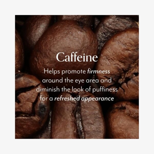 bliss Eye Do All Things Hydrating Eye Gel Depuff & Brighten Straight-from-the-Spa Paraben Free, Cruelty Free 0.7 fl oz