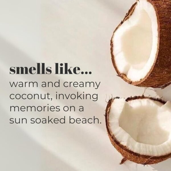 Mountain Ocean Skin Trip Coconut Lotion | 8oz | For All Skin Types | Coconut Oil, Aloe Vera, & Lanolin