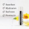 71Jvqu9sD6L._SL1500_.jpg Natural Lip Balm - Organic & Natural Ingredients - Beeswax Based Moisturizing Lip Care Chapstick for Chapped Lips - Great Gift Idea - Farm & Bee - 0.15oz (Pack of 4 - Unscented)