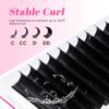 71K8G6Es-6L._SL1500_.jpg TDANCE Easy Fan Lash Extension Rapid Blooming Volume Eyelash Extensions C CC D DD J B L Curl 0.03-0.12mm Thickness Easy Fan Volume Lashes Self Fanning Eyelashes Extension (D-0.07,8-15mm)