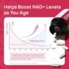 NAD Supplement Complex NMN Alternative - Liposomal NAD Resveratrol with β-NAD+, CoQ10, D-Ribose for Anti-Aging, Energy, Cellular Renewal and Radiant Skin Health - 60 Capsules