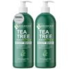 Tea Tree Body Wash MaxTherapy, Soothes Itchy Skin, Athlete’s Foot, Jock Itch, Acne, Eczema & Psoriasis, Cleansing Defense for Dry and Sensitive Skin, Men & Women, 2-Pack