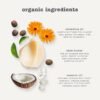 71LznZOFYNL._SL1500_.jpg Erbaviva Organic Lip & Cheek Balm – Moisturizing Stick for Baby & Adults | USDA Organic, Shea Butter & Calendula for Dry, Chapped Skin | Lip, Cheek & Hand Protection