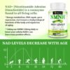 NMNH (Dihydronicotinamide Mononucleotide),NMN Supplement Alternative, 500mg per Serving NAD Supplement to Boost NAD+ Levels As We Age, NMNH for Anti-Aging, Energy, Focus, 120 Count (120 Servings)