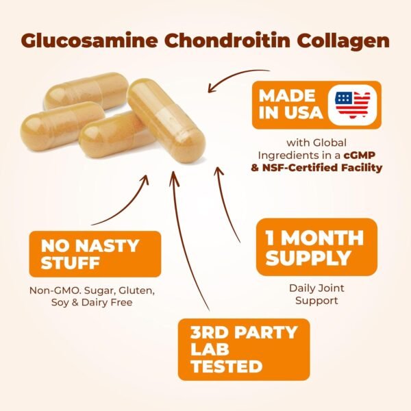 71NhYVL-fFL._AC_SL1500_.jpg Glucosamine Chondroitin MSM with Hydrolyzed Collagen Peptides - Joint Support Supplement with Quercetin, Bromelain & Boswellia Extract - Collagen pills for Hair Skin Nails - 120 Capsules