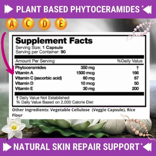 Phytoceramides - 3 Month Supply - Plus Skin Vitamins A,C,D & E for Skin Repair & Rejuvenation - Anti Aging Powerhouse for Reduced Fine Lines & Wrinkles by Fresh Healthcare