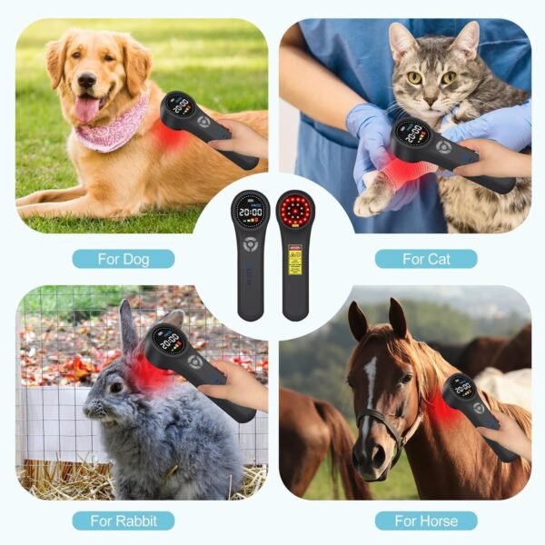 Cold Laser Therapy for Dogs, 4x980nm+4x810nm+16x660nm, Cold Laser for Horses, Veterinary Laser Therapy Machine, Pet Laser Therapy, Cold Laser Therapy Pain Relief Device for Animals Like Cats