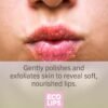 71S0x-YTtAL._SL1500_.jpg Eco Lips Sparkling Vanilla Mint Candy Cane Lip Mask and Sugar Lip Scrub for Holiday Gifting, Stocking Stuffers, 0.25 oz. (2 ct)